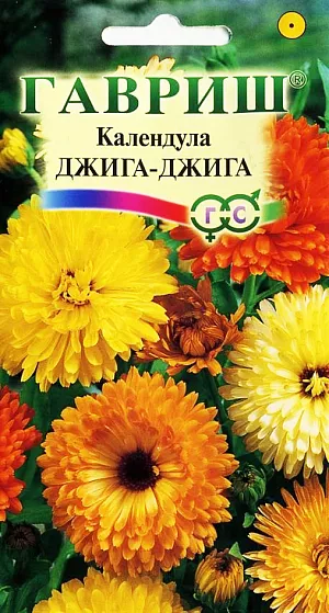 Календула Джига-Джига из каталога Календула Семена Календула Джига-Джига.
Популярное неприхотливое растение из семейства Астровых. Цветет с июня по сентябрь.
Цветение обильное и продолжительное, особенно при удалении отцветших соцветий.
Соцветия крупные, всех оттенков от темно-оранжевого до желтого.
Календула светолюбива и предпочитает легкие почвы, холодостойка выдерживает до -5°C. Размножают прямым посевом в грунт.
Семена высевают весной или под зиму, всходы появляются через 7-10 дней, их через некоторое время прореживают на раcтоянии 20 см. Зацветает через 50-60 дней после посева. Используется для оформления участка и получения срезки.