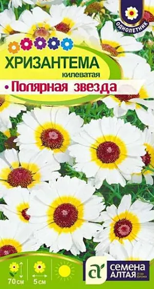 Семена Хризантема килеватая Полярная Звезда из каталога Хризантема Семена Хризантема килеватая "Полярная Звезда".<br>
Эффектный неприхотливый однолетник. Побеги прямостоячие, хорошо разветвленные, высотой 60-70 см, с множеством соцветий диаметром 5 см. Соцветия немахровые, с бледно-кремовыми язычковыми цветками и коричневым диском. Цветение с конца июня по сентябрь. Отличается быстрым ростом. Используют для оформления цветников, на срезку. Светолюбивая и холодостойкая, засухоустойчивая. Нуждается в дренированных, известкованных не сырых почвах без свежей органики. Семена высевают на рассаду в апреле или в грунт в начале мая. Сеянцы не пикируют, а лишь пересаживают на расстоянии 30 см.