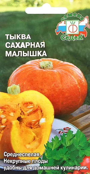 Семена Тыква Сахарная малышка