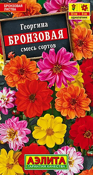 Семена Георгина Бронзовая смесь окрасок.
Компактная смесь с бронзово-красной листвой и махровыми соцветиями диаметром 7-8 см. Кустики высотой до 35 см, с много-численными прочными цветоносами. Цветение обильное и продолжительное, с июля до первых заморозков. Растения тепло- и светолюбивые. Хорошо смотрятся на клумбах и рабатках, подходят для выращивания в садовых контейнерах. Возможно использование на срезку для составления небольших букетов. Особо понравившиеся экземпляры смеси можно сохранить до следующего сезона в виде корнеклубней. Агротехника. Выращивают рассадным способом с пикировкой сеянцев в фазе двух настоящих листьев. Рассаду высаживают в открытый грунт, когда минует угроза заморозков. Георгина хорошо развивается на солнечных участках с плодородными почвами. Растениям необходимы регулярные поливы, прополки, рыхления и подкормки.