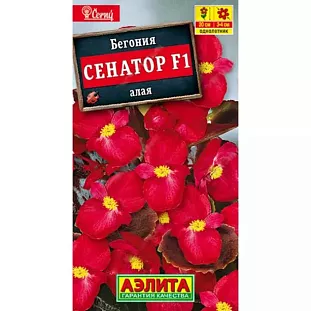 Бегония вечноцветущая Сенатор алая F1