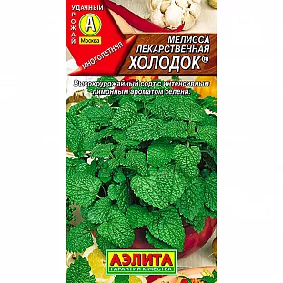Семена Мелисса лекарственная Холодок