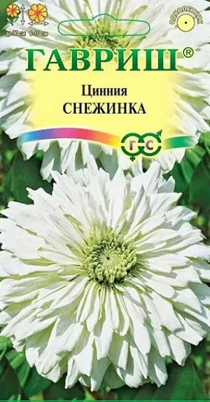 Семена Цинния Снежинка из каталога Цинния Семена Цинния Снежинка.
Эффектная высокорослая цинния с белоснежными кактусовидными соцветиями 6-10 см в диаметре.
Образует мощный, ветвистый от основания куст высотой 90 см. Цветение продолжительное и обильное с июля по сентябрь.
Цинния светолюбива, засухоустойчива и теплолюбива. Выращивают рассадным способом. Семена высевают в апреле.
Всходы появляются через 4-6 дней.
В начале июня растения высаживают на расстоянии 30 см. Используется для озеленения и получения срезки.