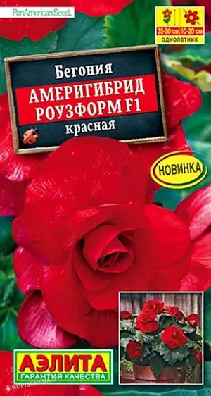Семена Бегония Америгибрид Роузформ F1 красная.<br>
 <br>
 Феноменально крупный цветок! При хорошем уходе достигает 20 см. в диаметре! Шедевр селекции. Выведена в американской фирме PanAmerican Seed, которая уже в пятом поколении специализируется на клубневых бегониях. Таким потенциалом крупноцветковости не может похвастаться ни одна из известных серий. Изысканные цветки при полном роспуске напоминают роскошные розы и очень гармонично смотрятся на фоне изумрудных листьев. Растение с крепкими побегами, высотой 35-50 см. Элегантная бегония Америгиб рид Роузформ F1 любит расти в тени и прекрасно смотрится в бордюрах, цветниках, оконных и садовых кашпо.<br>
 <br>
  Семена в гранулах! Гранулы располагают на поверхности почвы, не заделывая их, хорошо увлажняют из распылителя. При попадании влаги на гранулу оболочка должна раствориться. Посевы накрывают стеклом для сохранения постоянной влажности до полных всходов. Всходам требуется подсветка, но не более 10 часов в сутки.<br>