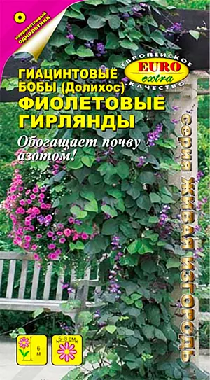 Семена Бобы Фиолетовые гирлянды гиацинтовые