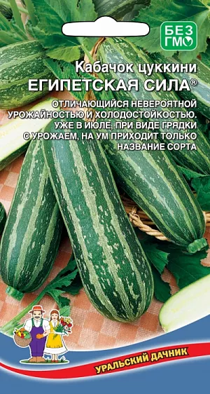 Семена Кабачок Египетская сила Семена Кабачок Египетская сила