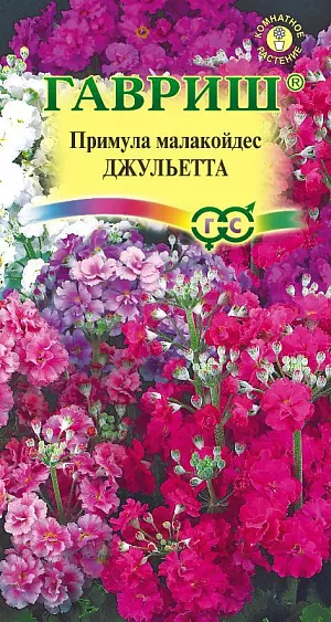<div>
 Семена Примула Джульетта.
</div>
 <article>
<p>
 Милое и очень трогательное растение, обильно цветет в комнатных условиях в зимне-весенний период, наполняя дом нежным ароматом. Относится к группе ярусовидных или канделябровых примул. Белые, розовые и красные махровые цветки (до 1,5 см.) в пушистых многоярусных соцветиях, расположены на прочных цветоносах, высотой 30 см. Темно-зеленые опушенные листья собраны в густую прикорневую розетку. Растение предпочитает хорошо освещенные места, без прямых солнечных лучей. Во время цветения поливают умеренно, не допуская пересыхания или переувлажнения почвы. Подкармливают 1 раз в 2-3 недели комплексным удобрением.
</p>
<p>
 Семена высевают во влажную почвенную смесь из листовой, дерновой земли, перегноя, торфа и песка (1:1:1:1:1) и помещают в прохладное помещение (7-10ºС). Через неделю посевы переносят в освещенное место, увлажняют из пульверизатора и накрывают стеклом. Оптимальная температура для прорастания +16…+20 °С. Через месяц сеянцы пикируют, а затем пересаживают в горшки. Рекомендуется ежегодно посевы повторять, обновляя растения. Примула мягковатая может выращиваться как однолетник и в открытом грунте, цветение тогда начинается летом.
</p>
 </article>
