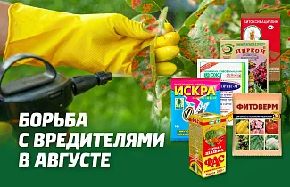 БОРЬБА С ВРЕДИТЕЛЯМИ И БОЛЕЗНЯМИ БИОПРЕПАРАТАМИ В АВГУСТЕ