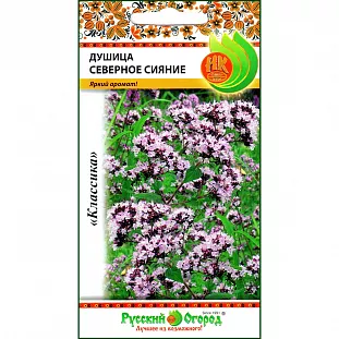 Душица Северное Сияние Душица Северное Сияние