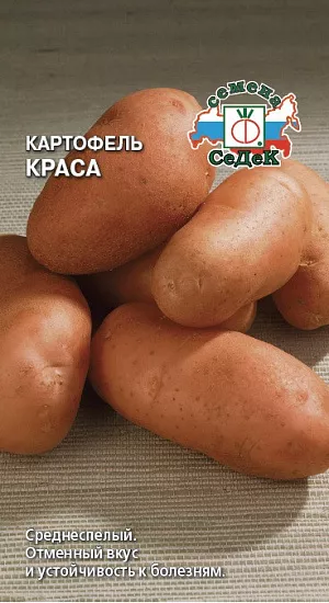 Семена Картофель Краса Семена Картофель Краса