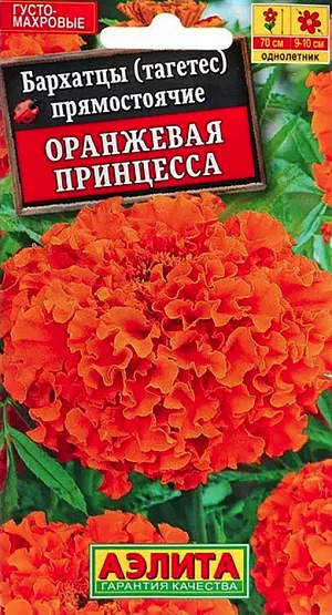 Семена Бархатцы Оранжевая принцесса.
Высокорослые бархатцы с очень крупными (9-10 см) густо махровыми соцветиями-корзинками. Растения крепкие, раскидистые, высотой до 70 см, с множеством прочных цветоносов. Благодаря устойчивости к непогоде, кусты прекрасно держат форму и не теряют своей декоративности под воздействием ветра и дождя. Цветение раннее, обильное и продолжительное, с июня до заморозков. Бархатцы Оранжевая принцесса засухоустойчивые, тепло- и светолюбивые. Используются для украшения клумб, цветников, подходят для срезки. 
Агротехника. Выращивают рассадным способом. Посев проводят в первой половине апреля. Всходы появляются через 4-8 дней после посева, сеянцы пикируют в фазе 1-2-х настоящих листьев. Рассаду высаживают в конце мая - начале июня. Возможен посев в открытый грунт в мае на глубину 1,5-2 см.