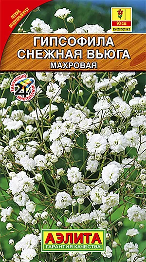 Семена Гипсофила Снежная вьюга махровая.
<p>
 <b>Чудесная многолетняя гипсофила</b> великолепно подходит для украшения сада, с легкостью придаст очарования любому его уголку. Ее изящные, очень ветвистые стебли длиной достигающие до 90 см, способны ниспадать каскадом и образовывать великолепные шаровидные облака, сплошь покрытые мелкими изящными нежно-розовыми цветками. Гипсофила будет достойным украшением альпийской горки или рокария.
</p>
<p>
 Посев на рассаду проводят в марте, по поверхности влажной почвы. Всходы появляются через 10-15 дней при температуре 20-22°С. После появления двух настоящих листьев всходы пикируют и снижают температуру до 16-18°С. Рассаду высаживают в грунт, когда минует угроза заморозков. Расстояние между растениями 40х30 см. Цветет с июля до конца августа.
</p>
