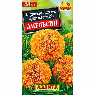 Бархатцы Апельсин прямостоячие