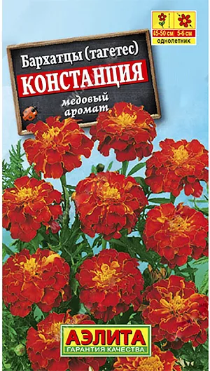 Семена Бархатцы гибридные Констанция. Уникальные бархатцы, полученные путем скрещивания растений разных групп. По виду соцветия и обилию цветения приближаются к бархатцам отклоненным, а по размеру куста – 45-50 см. – к прямостоячим. Яркие соцветия  диаметром 5-6 см. имеют классический аромат с медовыми нотами. Растения зацветают в стадии рассады, разрастаются быстро, сохраняют декоративность до заморозков. Эффектны в массовых и одиночных посадках.<br>
<p>
</p>
<p>
 Выращивают рассадным способом. Посев семян проводят в первой половине апреля. Всходы появляются через 4-8 дней после посева, сеянцы пикируют в фазе одного-двух настоящих листьев. Рассаду высаживают в конце мая-начале июня. Возможен посев в открытый грунт в мае на глубину 1см. Растениям необходимы регулярные поливы, прополки, рыхления и подкормки. 
</p>
 <br>
 <br>
 <br>
 <br>
 <br>