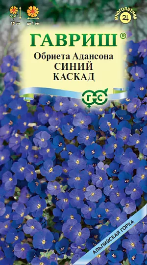 Обриета Синий каскад из каталога Обриета Многолетнее растение, образующее красивые распростертые куртинки до 15 см высотой, зимующие под снегом. Листья мелкие, продолговато-лопатчатые, с зазубренными краями. Цветки до 1 см в диаметре, сине-фиолетовые. Все растение очень декоративно в пору цветения, когда листья почти не видны из-за массы цветков. Цветет с мая около 35-45 дней. Месторасположение только солнечное, даже в полутени обриета вытягивается и практически не цветет. Обриета предпочитает легкие, не слишком плодородные почвы с добавлением извести или мела, совершенно не выносит закисающих тяжелых переувлажненных глин, а также жирной земли, содержащей торф. Особенно губительна влага в зимний период, поэтому сажают растения на каменистых горках, на приподнятых или хорошо дренованных участках. После майского цветения растения сразу обрезают, что способствует новому быстрому и более компактному росту. Осенью наблюдается повторное цветение. Посев производят в конце апреля – мае или в ноябре.