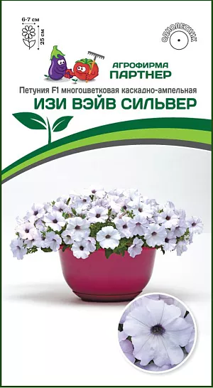 «Изи Вэйв» - петуния с улучшенной окраской и сильным цветком, невероятно устойчивым к воздействию ветра и дождя. Дословно переводится как «легкая волна». И это не удивительно, ведь главной целью было создание легкого в уходе гибрида, который бы хорошо себя проявлял в условиях короткого дня. Она сумела доказать свою исключительную выносливость противостоять любым катаклизмам погоды и великолепно чувствовать себя в условиях жары и холода. Своим появлением «Изи Вэйв» «взбудоражила» цветоводов, ландшафтных дизайнеров, профессионалов и производителей рассады. Полюбилась она за исключительную выравненность, мощь, а также яркое и неугомонное цветение. Благодаря многочисленному ветвлению, растение образует красивую крону в форме купола с плотным расположением цветков по всему кусту. При посадке в открытый грунт одно растение с легкостью закрывает площадь около 1,5 м² и образует красочный живой ковер. Очень быстро восстанавливается после дождя и ветра. Это лучший выбор для балконов, беседок, клумб и высоких вазонов с размещением на уровне глаз. Чтобы петуния полностью раскрыла свой потенциал, рекомендуем объем кашпо 15 л и более на одно растение и схему посадки в грунте – 60х60 см.