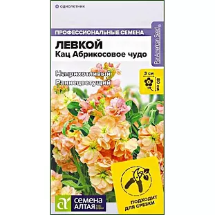 Левкой махровый Кац Абрикосовое чудо