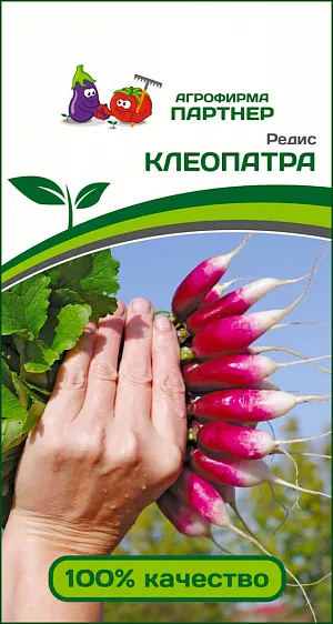 Семена Редис Клеопатра