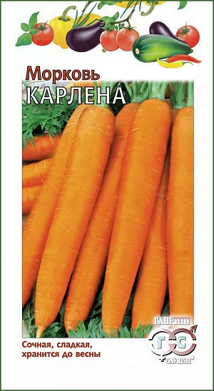 Семена Морковь Карлена Семена Морковь Карлена