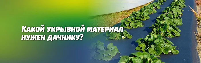 КАКИЕ УКРЫВНЫЕ МАТЕРИАЛЫ НУЖНО ОБЯЗАТЕЛЬНО ИМЕТЬ НА ДАЧЕ КАКИЕ УКРЫВНЫЕ МАТЕРИАЛЫ НУЖНО ОБЯЗАТЕЛЬНО ИМЕТЬ НА ДАЧЕ