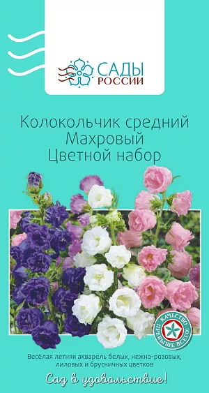 Колокольчик средний Махровый Цветной набор

Небесная красота этого колокольчика – вне всяких сомнений. Растения хорошо развитые, крепкие, с чудесными крупными колокольчатыми махровыми цветками длиной до 7 см, собранными в рыхлые кисти. Холодостойкий. На зиму требуется укрытие торфом или сухими листьями слоем 15–20 см.