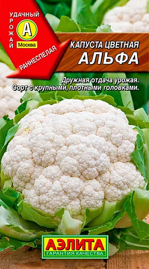 Семена Капуста цветная Альфа Семена Капуста цветная Альфа