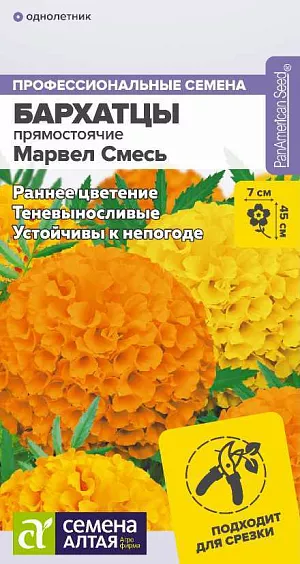 Семена Бархатцы "Марвел" смесь.<br>
Новая серия быстрорастущих бархатцев поражает своей красотой и изумительными расцветками. Растение образует компактные кустики высотой до 25 см с крупными, до 7 см в диаметре, махровыми цветками насыщенного оранжевого цвета. Отличается ранним и продолжительным периодом цветения и устойчивостью к неблагоприятным погодным условиям. Идеально подходит для ландшафтного озеленения и посадки в вазоны и клумбы, будет эффектно смотреться как в балконных ящиках, так и в качестве горшечной культуры. Долго сохраняет декоративность в срезке, оказывает санитарное воздействие на почву. Неприхотливое, засухоустойчивое и светолюбивое растение, выносит небольшое затенение. Заморозков не переносит. Наибольшей декоративности достигает на открытых солнечных участках с питательными нейтральными суглинистыми почвами. Посев семян на рассаду проводят в марте. Глубина заделки семян 0,5 см. Посевы накрывают черной плёнкой для поддержания необходимого уровня влажности. При температуре +20-22°С всходы появляются через 7-10 дней, пленку убирают, температуру понижают до +16-18°С, во избежание вытягивания рассады. В грунт высаживают, когда минует угроза заморозков. Схема посадки 20х30 см. Цветение – через 2-2,5 месяца от посева, с июня до заморозков. В районах с мягким климатом возможен посев семян в открытый грунт в мае на глубину 1,0-1,5 см.