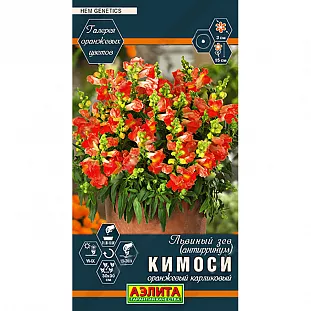 Семена Львиный зев Кимоси оранжевый карликовый Семена Львиный зев Кимоси оранжевый карликовый