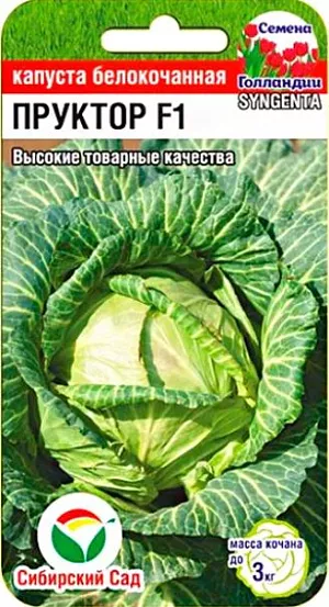 Семена Капуста белокочанная Пруктор F1