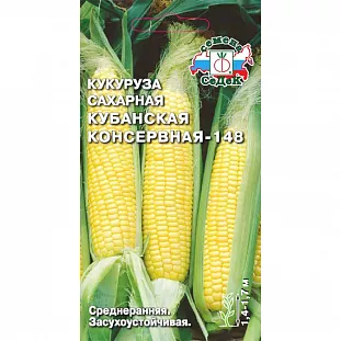 Семена Кукуруза Кубанская консервная 148