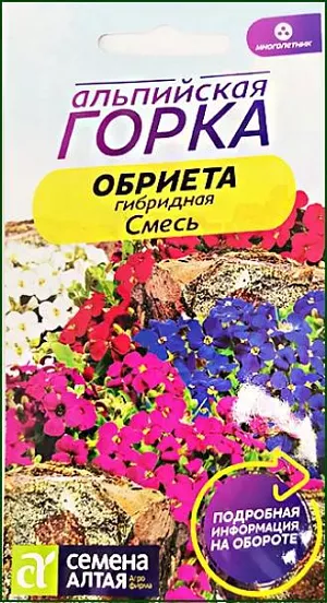 Семена Обриета гибридная Смесь.<br>
 <br>
 Вечнозеленый стелющийся травянистый многолетник, представляет собой цветочный ковер. Растение низкорослое (высота около 10 см.), с мелкими, около 1 см. в диаметре, цветками различных окрасок, обильно покрывающими все растение. Используется для оформления альпийских горок, рокариев, бордюров. Светолюбивое зимостойкое растение. Предпочитает открытые участки с легкими, умеренно плодородными, хорошо дренированными нейтральными почвами. Не переносит кислых почв, требуется их нейтрализация. На рассаду семена высевают в конце февраля - марте.<br>
 <br>
 Обриета негативно реагирует на пересадку, поэтому посев лучше проводить в торфяные горшочки, вместе с которыми растения будут высаживаться в открытый грунт. Горшочки наполняют субстратом, увлажняют его, на поверхность выкладывают семена по 2-3 в каждый горшочек. Посевы присыпают тонким слоем песка (0,3-0,5 см.), сверху увлажняют из пульверизатора и накрывают пленкой.<br>