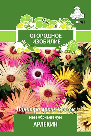 Семена Мезембриантемум Арлекин.
Палитра ярких играющих красок. Стелющееся растение с толстыми мясистыми желто-белыми листьями и стеблями. Отличается сильным ростом, образует ползучие побеги. Крупные цветки диаметром 4-5 см. Используют для рокариев, бордюров, каменистых горок.
Посев: март
Глубина посева: 0.5 см
Высадка рассады: 25 мая – 5 июня
Время цветения: июнь-октябрь
Схема посадки: 15х20 см