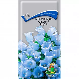 Колокольчик средний Голубой