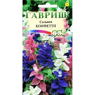 Сальвия Конфетти Сальвия Конфетти