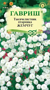 Тысячелистник Жемчуг Тысячелистник Жемчуг