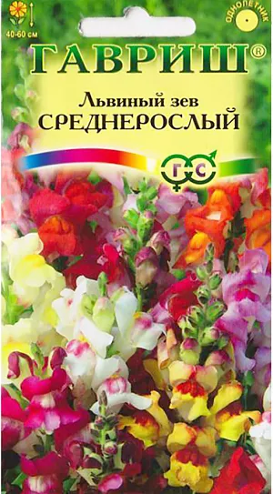 Семена Львиный зев Среднерослый.
Декоративное растение из семейства Норичниковые, культивируемое как однолетник, высотой 40-60 см. 
Цветет с конца июня до поздних заморозков. Цветки собраны в кистевидные соцветия разнообразной окраски - желтой, красной, розовой, белой. Холодостоек, светолюбив, к почвам нетребователен, в засушливый период нуждается в поливе.
Выращивают рассадным способом. Посев проводят с начала марта до середины апреля. Всходы появляются через 8-12 дней. 
Рассаду высаживают во второй половине мая с расстоянием между растениями 20 см.
Используется для посадки на клумбах, в рабатках и миксбордерах, а также для получения срезки (львиный зев стоит в воде до двух недель).