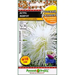 Семена Астра Русский размер I Жемчуг