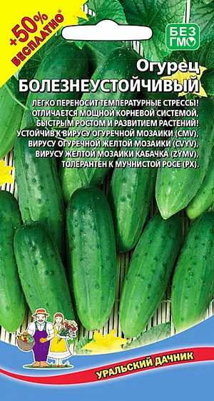 Семена Огурец Болезнеустойчивый Семена Огурец Болезнеустойчивый