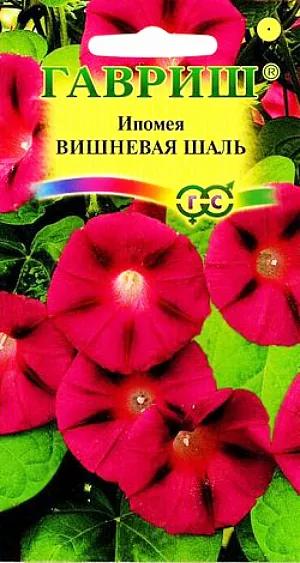 Семена Ипомея Вишневая Шаль.
Вьющееся растение для вертикального озеленения из семейства Вьюнковые с побегами длиной до 3 м. 
Цветение обильное, с конца июня до заморозков. Цветки воронковидные, крупные, темно-вишневые, до 10 см в диаметре.
Светолюбива и теплолюбива, заморозков не переносит. Высевают в открытый грунт во второй половине мая.
Семена перед посевом желательно замачивать на сутки. Всходы появляются через 6-14 дней, расстояние между растениями должно составлять 30-40 см. 
Используется для озеленения балконов и ваз, для вертикального декорирования изгородей, построек.
