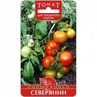 Семена Томат Северянин Семена Томат Северянин