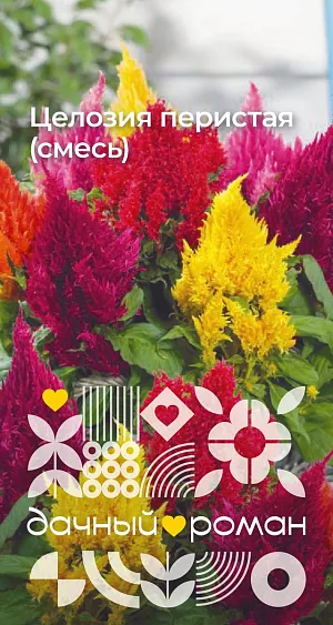 Семена Целозия перистая (смесь) из каталога Целозия Семена Целозия перистая (смесь)
Это растение с удивительно яркими, «пылающими» метельчатыми соцветиями сделает ваш сад поистине волшебным и праздничным. Теплолюбивые, засухоустойчивые растения наибольшей декоративности достигают при посадке на защищенных от ветра местах и достаточно плодородных почвах. Высаживают на клумбы или в контейнеры.