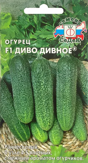 Семена Огурец Диво дивное F1