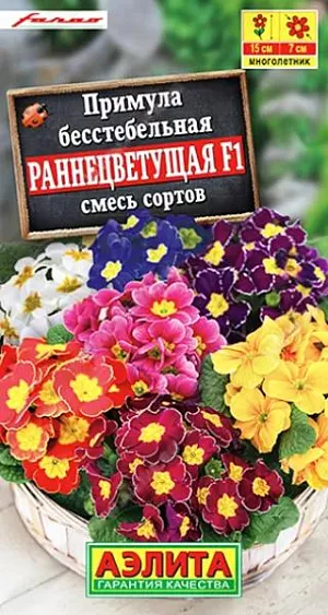 Семена Примула Раннецветущая F1 из каталога Примула Семена Примула Раннецветущая F1. Зацветает на 2-3 недели раньше остальных примул. Растения компактные, высотой 12-15 см. Цветки крупные, диаметром 6-7 см. Яркая смесь украсит палисадники, бордюры и рабатки. Великолепно подходит для горшечного выращивания. На зиму рекомендуется профилактическое укрытие.<br>
<br>
Емкость с посеянными семенами на две недели поставьте в холодильник (желательно в морозильное отделение) для стратификации. В фазе одного настоящего листа сеянцы пикируют.<br>