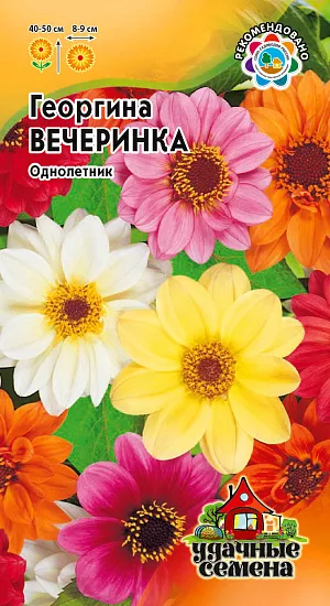 Семена Георгина Вечеринка.
Многолетнее травянистое растение, чаще культивируемое, как однолетник из семейства Астровые. 
Образует многочисленные ветвистые стебли высотой 40-50 см. Соцветия диаметром 8-9 см, розовой, красной, пурпурно-карминной, желтой, белой окраски. Предпочитает солнечные, защищенные от ветра участки с рыхлой, плодородной почвой. 
Выращивается рассадным способом. Растения зацветают через 2-3 месяца после посева.
Используется для посадки на клумбах, рабатках, в группах.
