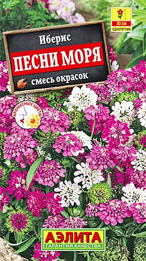 Семена Иберис Песни моря смесь окрасок.
Яркая смесь популярного летника с великолепным ароматом. Кусты хорошо разветвленные, высотой до 30 см. Мелкие цветки диаметром 1-2 см собраны в плотные щитковидные соцветия. Смесь обильно цветет в июне-июле. Если обрезать отцветшие побеги, не давая образоваться семенам, то можно продлить цветение до сентября. Растения неприхотливые, не требуют хлопот с выращиванием рассады. Растут быстро, предпочитают солнечные участки с легкой почвой. Иберис пригоден для выращивания в горшках и контейнерах. Широко используется для оформления мест отдыха и прогулок, балконов, клумб, рабаток, каменистых садиков, бордюров. 
Агротехника. Посев семян в открытый грунт на глубину 0,5-1 см. Всходы прореживают. Растениям необходимы регулярные поливы, прополки, рыхления и подкормки. Для более раннего цветения возможен подзимний посев в конце октября.