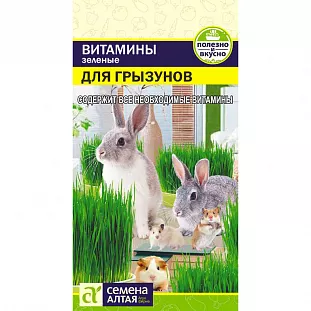 Зеленые витамины для грызунов