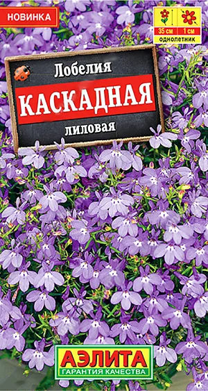 Семена Лобелия Каскадная лиловая

Эффектная серия ампельного летника с суперобильным цветением. Растения образуют пышные каскады поникающих побегов длиной до 30-35 см. С наступлением лета их украшает множество ярких* изящных цветочков диаметром до 1 см. Сорт широко используется для оформления подвесных корзин, балконных ящиков, высоких вазонов. В садовых цветниках приобретает стелющуюся форму. Из ампельной лобелии в открытом грунте получаются красивые бордюры и ковровые композиции.
* Возможно присутствие оттенков небесного и василькового цветов.