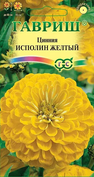 Семена Цинния Исполин Желтый.
Серия высокорослых крупноцветковых цинний для элитного оформления сада. 
Отличается чрезвычайно обильным и продолжительным цветением, прочными ветвящимися цветоносами, чистыми и стойкими к выгоранию тонами соцветий. Формирует приподнятые, разветвленные кусты высотой до 90 см. 
Соцветия георгиновидные, крупные, желтые, 15 см в диаметре, с высокой устойчивостью к неблагоприятным погодным условиям. 
Цветет с июня до заморозков. Циннии светолюбивы, засухоустойчивы и теплолюбивы; отзывчивы на полив, без длительного полива снижается интенсивность цветения и уменьшается размер соцветий. Выращивают рассадным способом. 
Семена высевают в апреле. Всходы появляются через 4-6 дней. В начале июня растения высаживают на расстоянии 20 см.