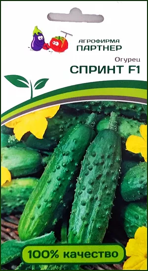 Семена Огурец Спринт F1