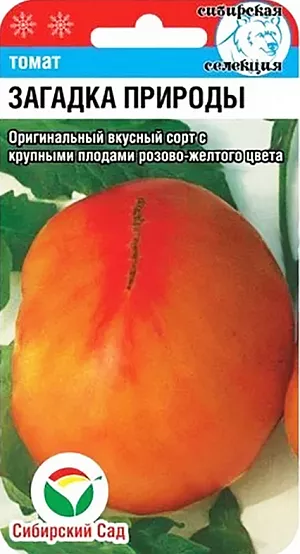 Семена Томат Загадка природы